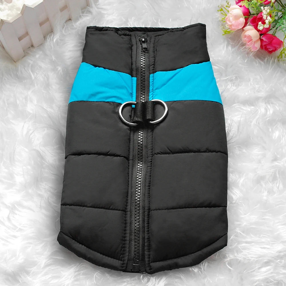 Dog coats. Winter is coming, protect your four-legged friend.