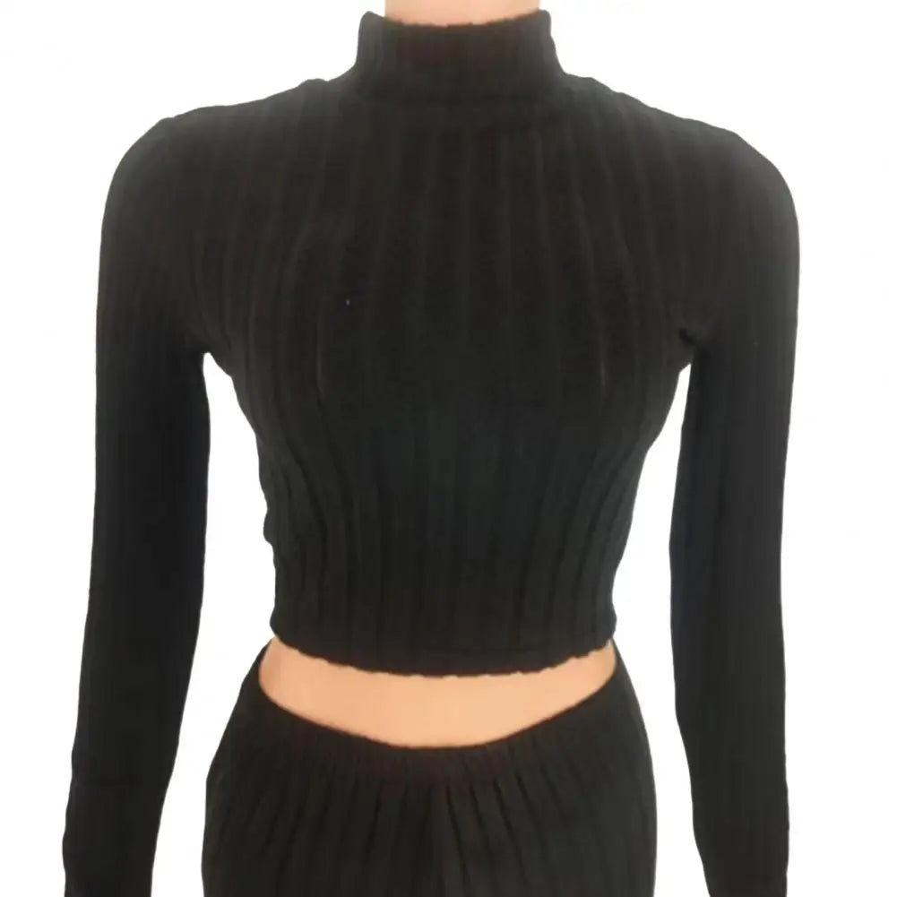 Women's Autumn Winter 2 Piece Set/ Tops and Pants, Turtleneck Long Sleeves, Slim Fit, Sweatpants Set, Casual Sportswear