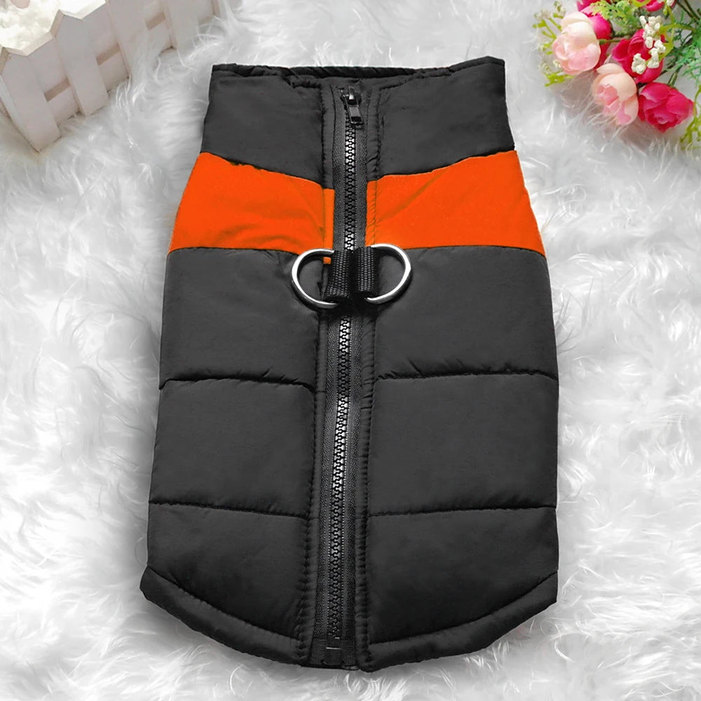 Dog coats. Winter is coming, protect your four-legged friend.