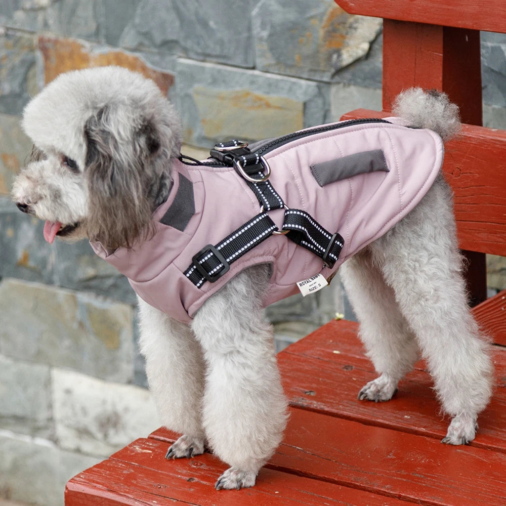 dog jacket, warm dog hoodie, warm dog clothes