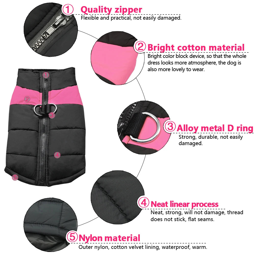 Dog coats. Winter is coming, protect your four-legged friend.
