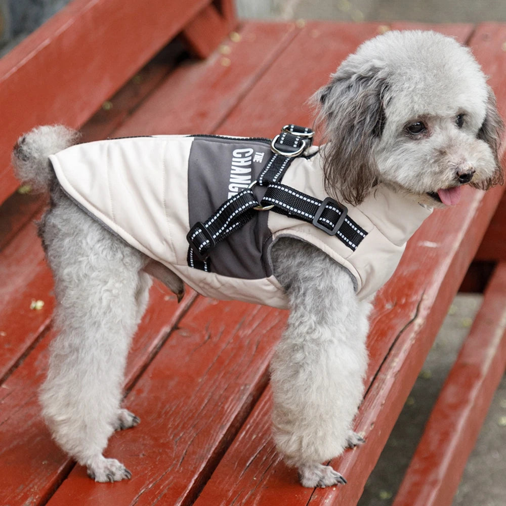 dog jacket, warm dog hoodie, warm dog clothes