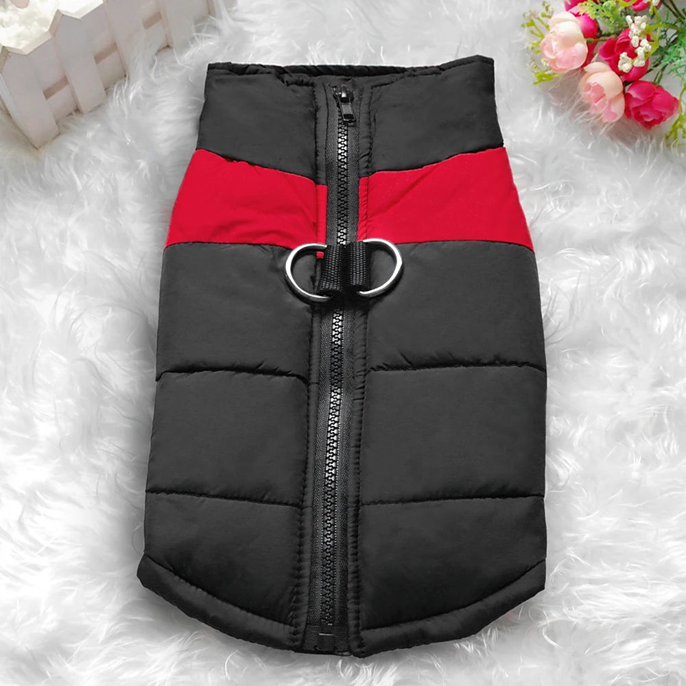 Dog coats. Winter is coming, protect your four-legged friend.
