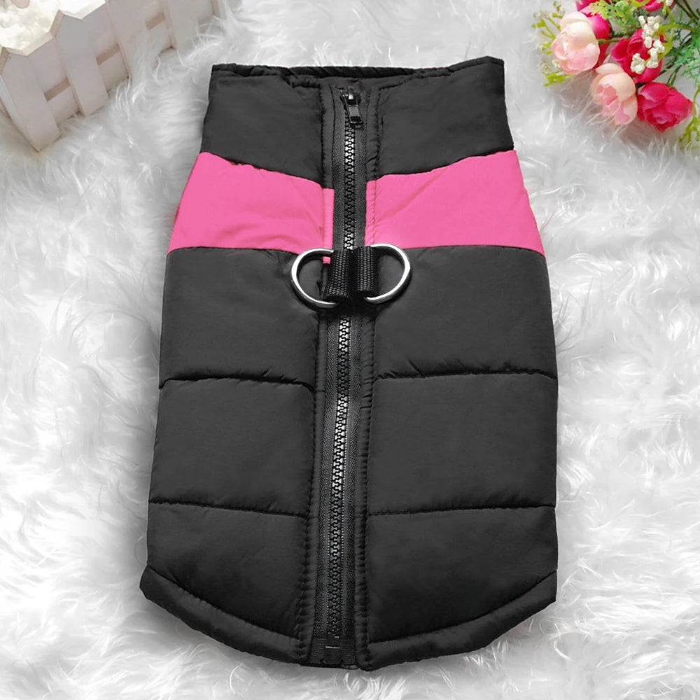 Dog coats. Winter is coming, protect your four-legged friend.