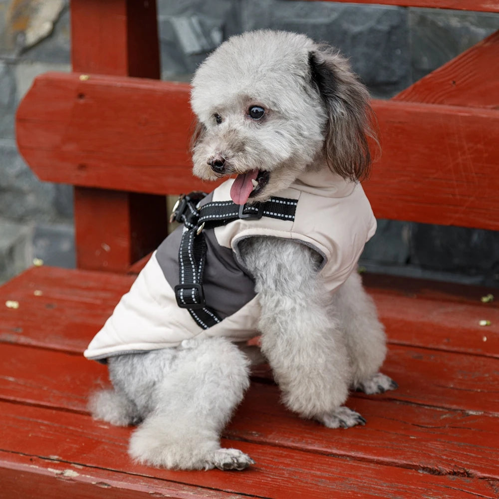 dog jacket, warm dog hoodie, warm dog clothes