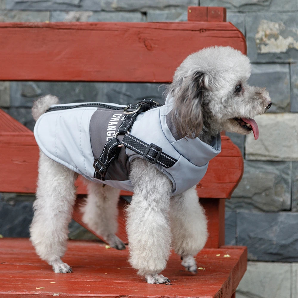 dog jacket, warm dog hoodie, warm dog clothes