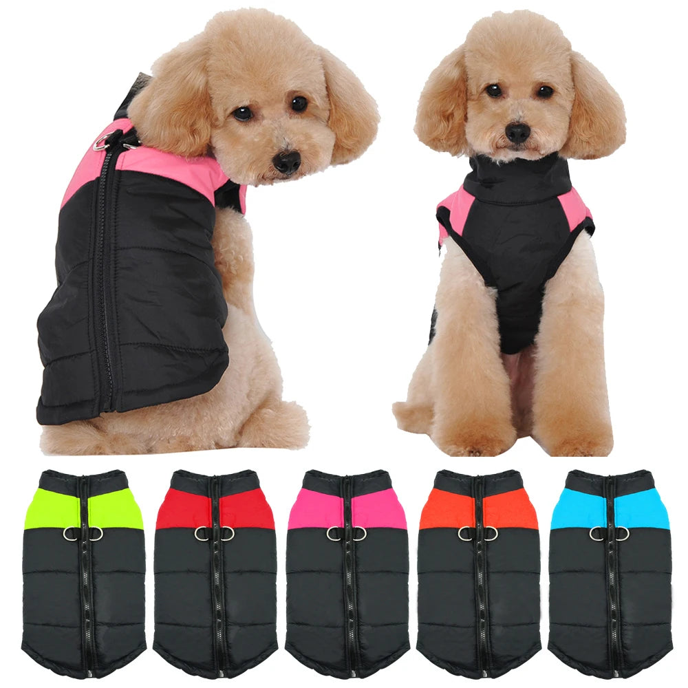 Dog coats. Winter is coming, protect your four-legged friend.