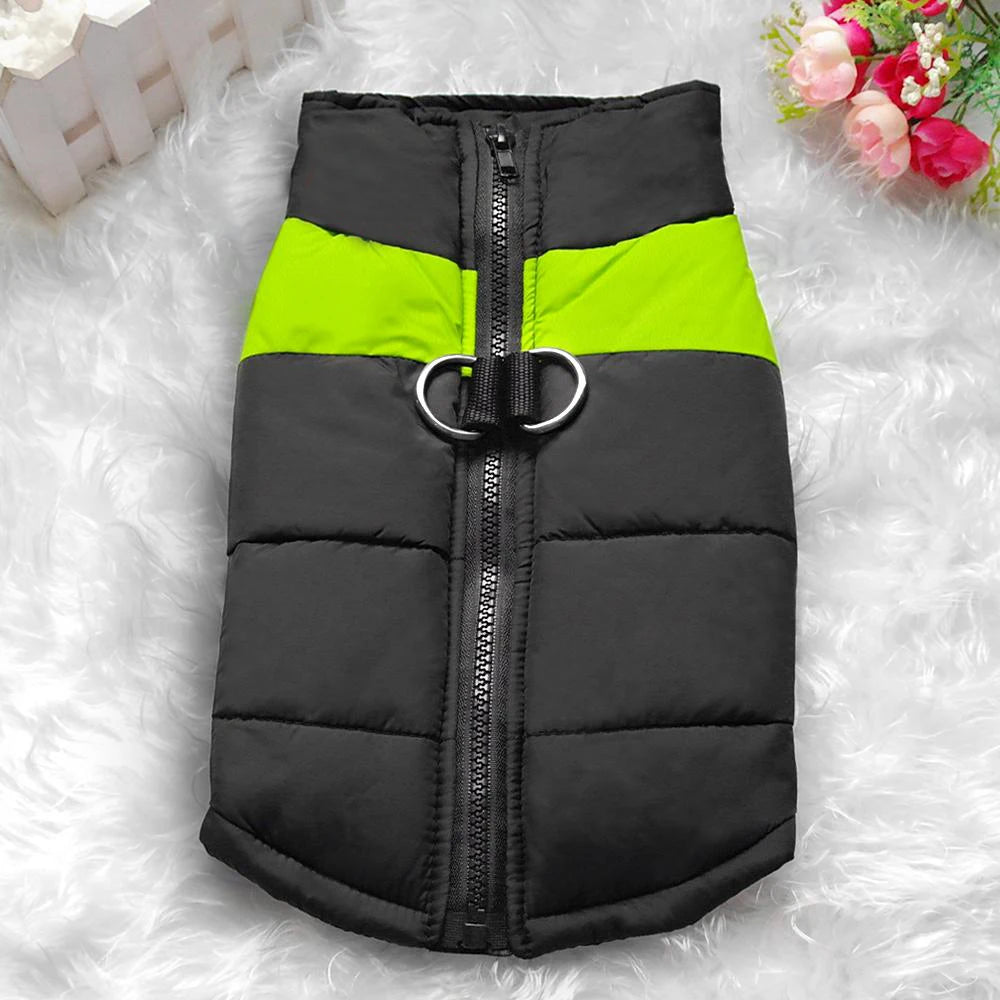 Dog coats. Winter is coming, protect your four-legged friend.